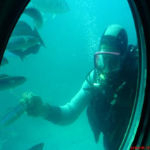 Hurghada Submarine Excursion from Hurghada Port